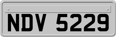 NDV5229