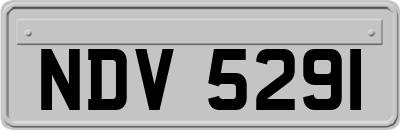 NDV5291