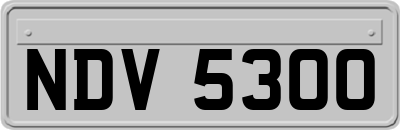 NDV5300