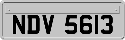 NDV5613