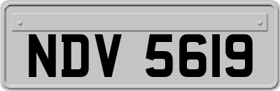 NDV5619