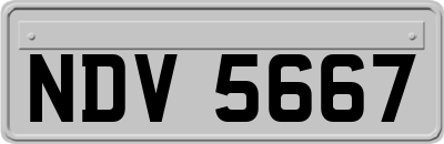 NDV5667