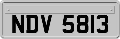 NDV5813