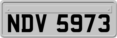 NDV5973