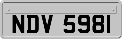 NDV5981