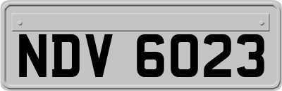 NDV6023