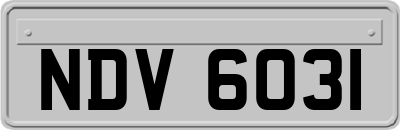 NDV6031