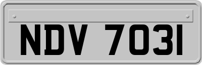 NDV7031