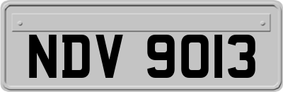 NDV9013