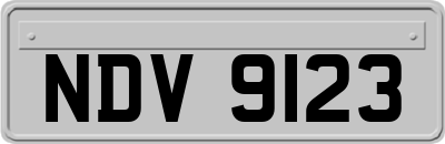 NDV9123