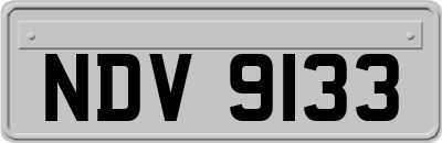 NDV9133