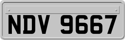 NDV9667