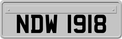 NDW1918
