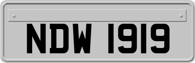 NDW1919