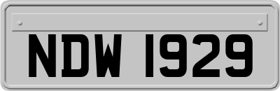 NDW1929