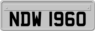 NDW1960
