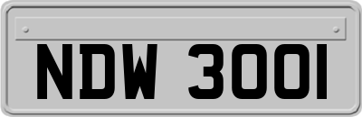 NDW3001