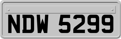 NDW5299