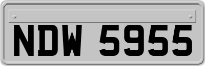NDW5955
