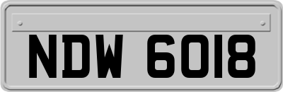 NDW6018