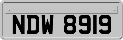 NDW8919