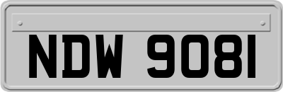 NDW9081