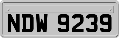 NDW9239
