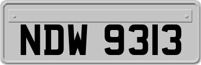 NDW9313