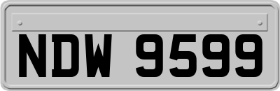NDW9599