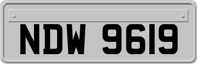 NDW9619