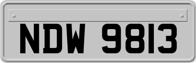 NDW9813