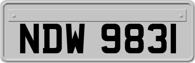 NDW9831