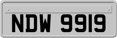 NDW9919