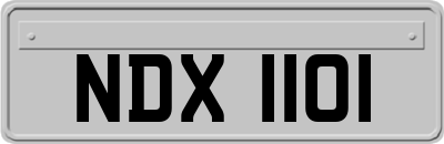 NDX1101