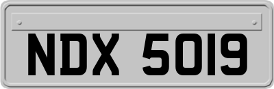 NDX5019