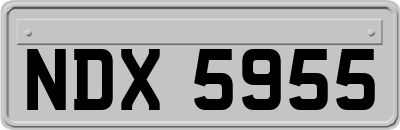 NDX5955