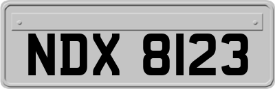 NDX8123