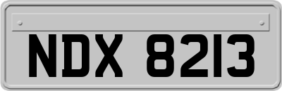 NDX8213