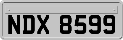 NDX8599