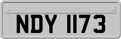 NDY1173