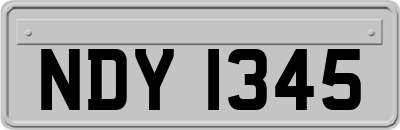 NDY1345