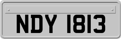 NDY1813