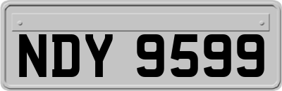 NDY9599