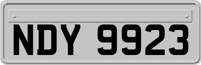 NDY9923
