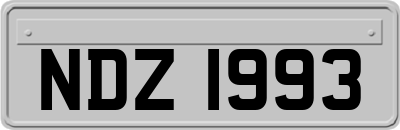 NDZ1993