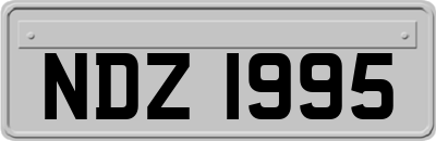 NDZ1995