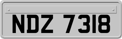 NDZ7318