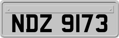 NDZ9173