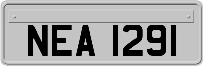 NEA1291