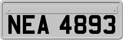 NEA4893